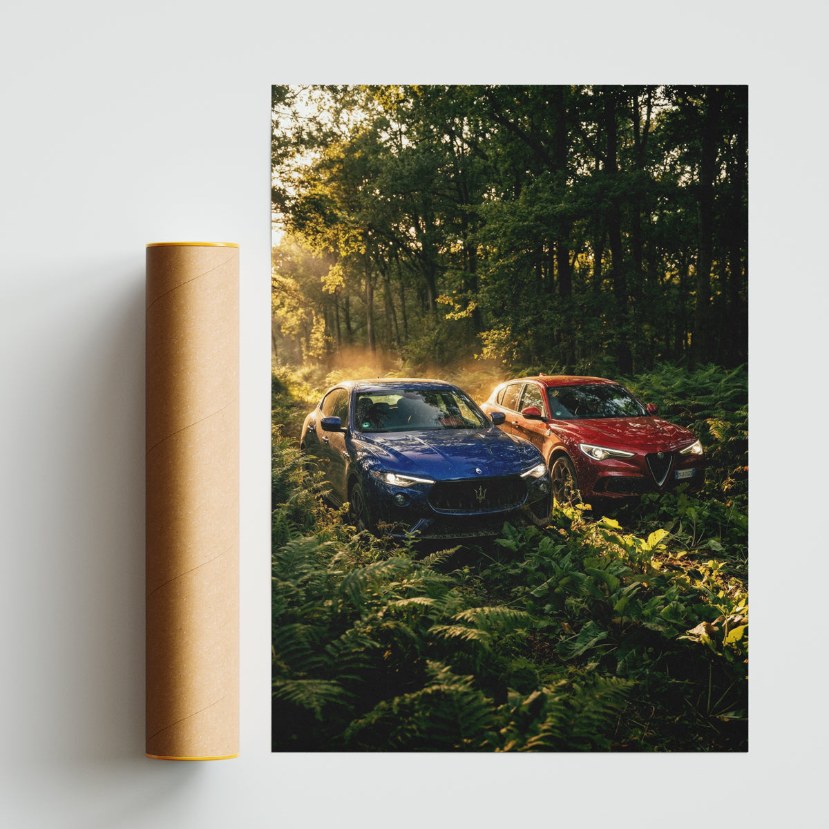 PLAKAT MASSERATI | ALFA ROMEO